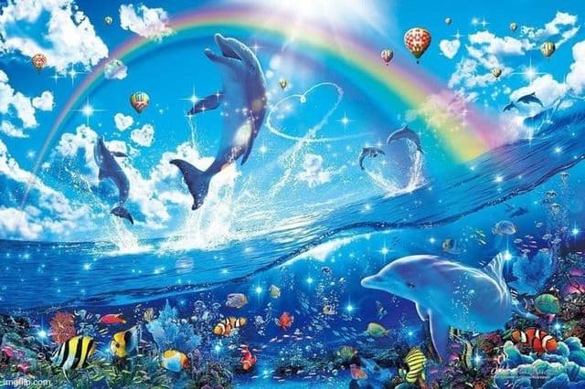 Rainbow Dolphin